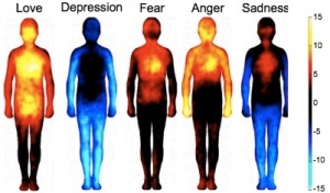 temperatuur en emoties